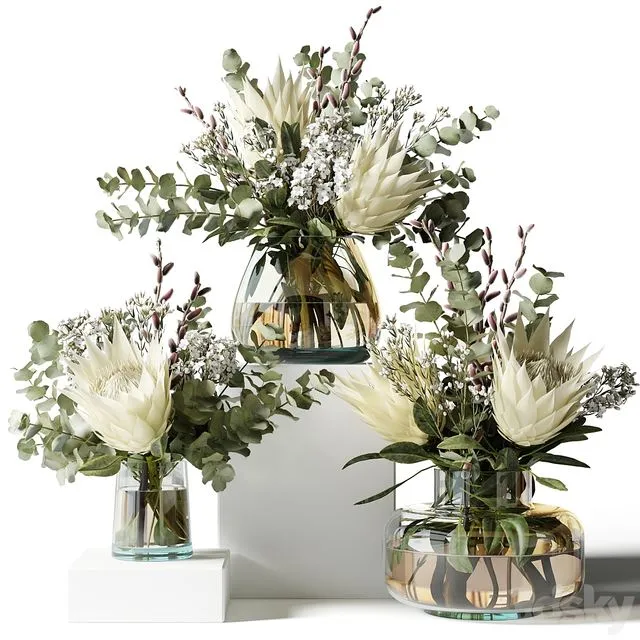 Bouquet with proteas and eucalyptus 3D Model
