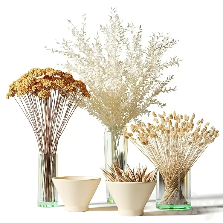 Bouquets of dried flowers in glass vases - set 2 3D Model