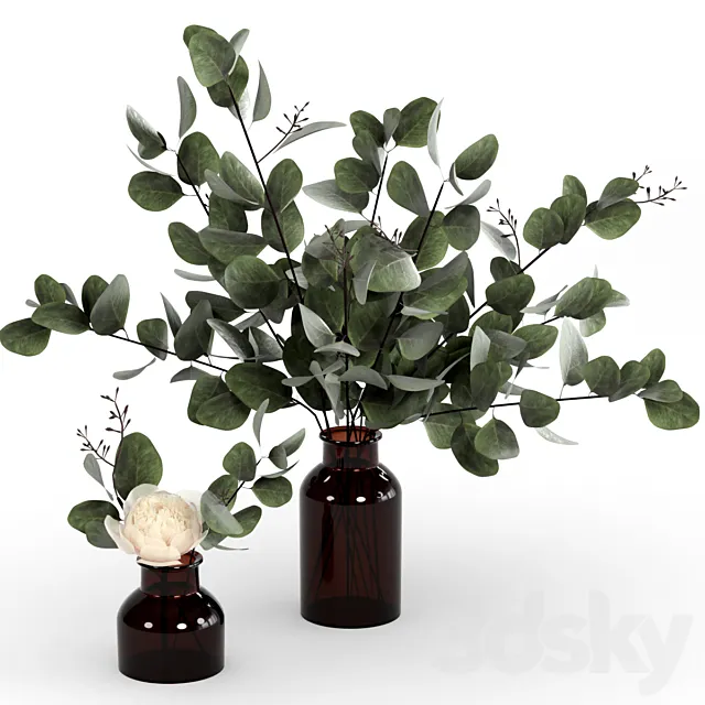 Bouquets of eucalyptus. 3D Model