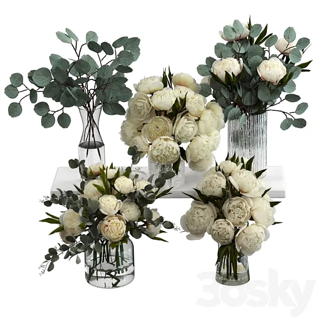 Bouquets of eucalyptus and peonies 3D Model