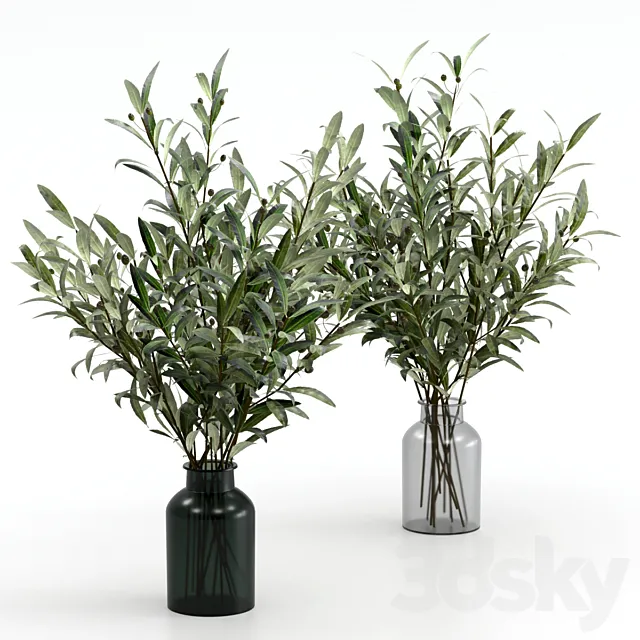 Bouquets of olives. 3D Model