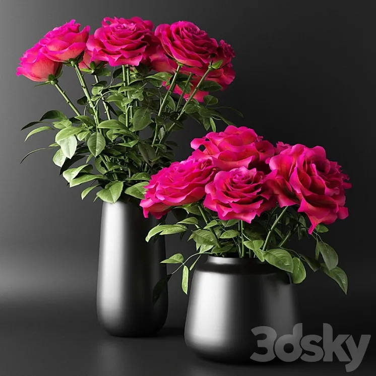 Bouquets of red roses in black vases | Bouquets of red roses in black vases 3D Model Free