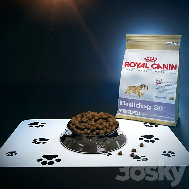 Bowl for the dog and cat food 3D Model