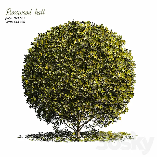 Boxwood ball 3D Model