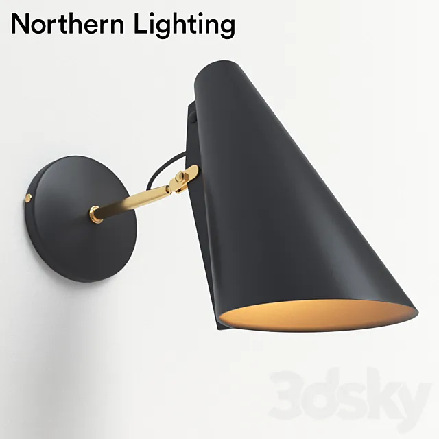 Bra Northern Lighting Birdy 3DModel