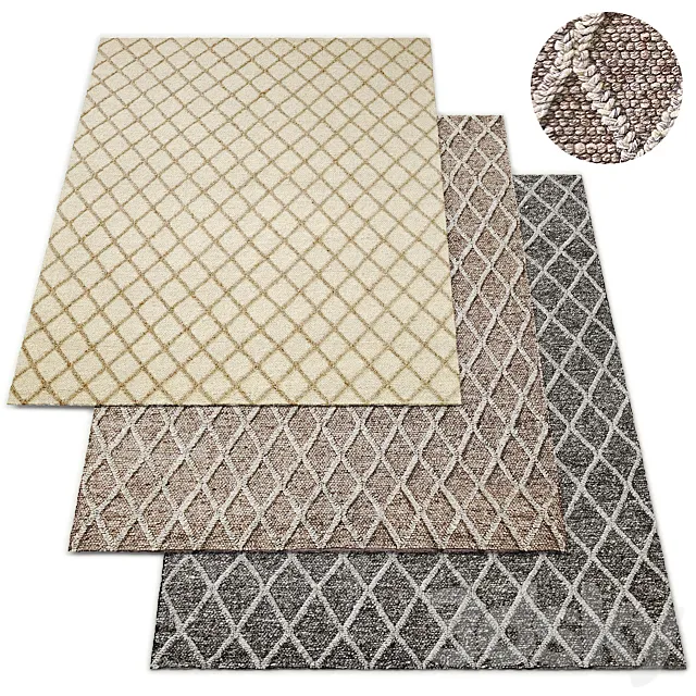 Braided Diamante Flatweave Collection Rug RH 3D Model