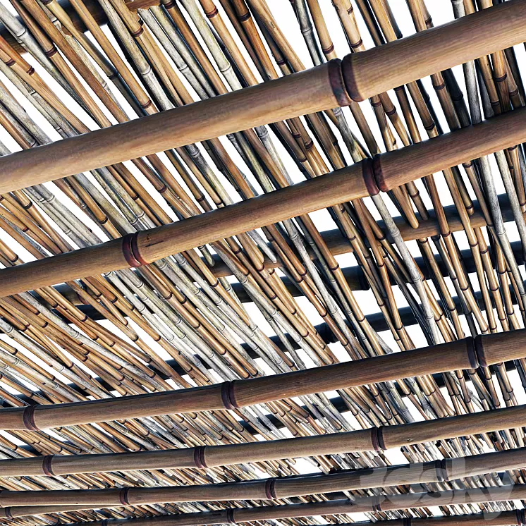 Branch bamboo long low n2 3D Model