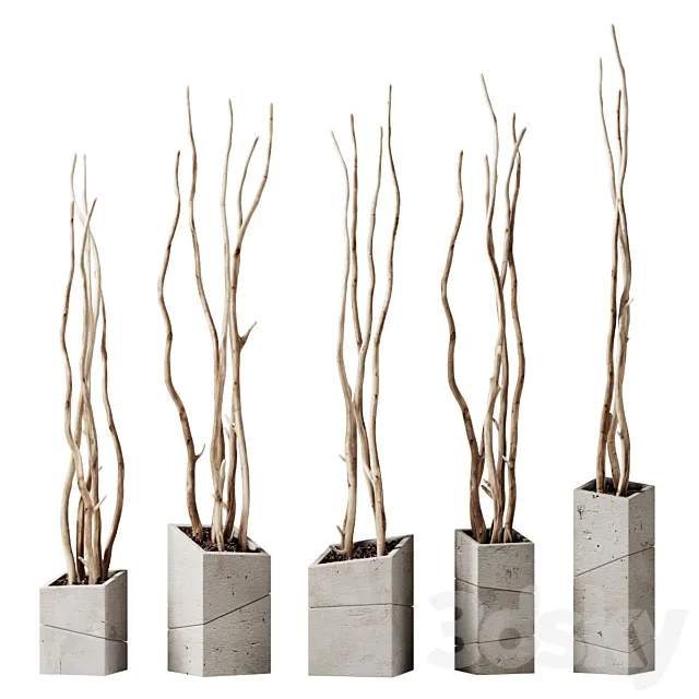 Branch decor vase slice n2 _ Branches curves in beveled vases 3D Model