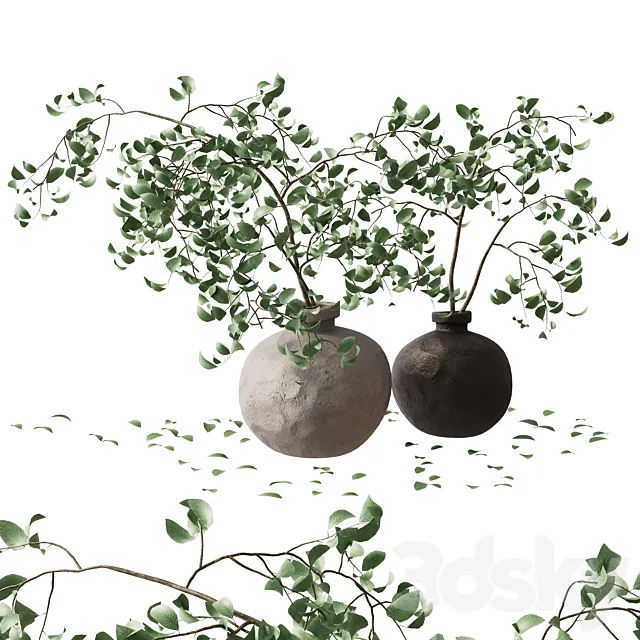 branches in a vase Free Download