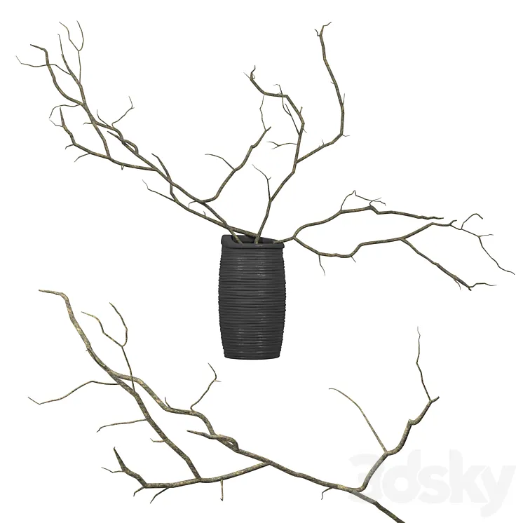 Branches in a vase Free Download
