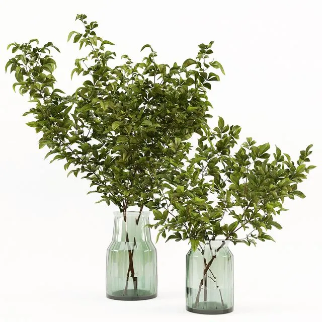 Branches in the vase 002 3D Model