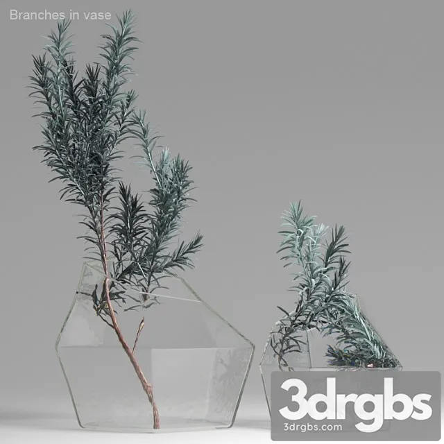 Branches In Vase Free Download