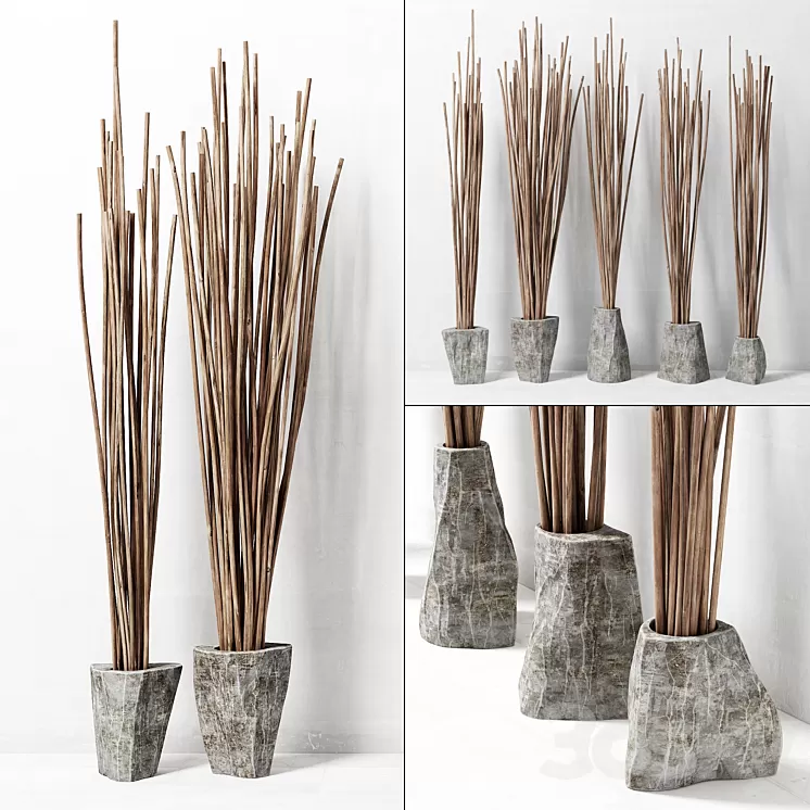 Branches in vase decor / Decor of branches in vases