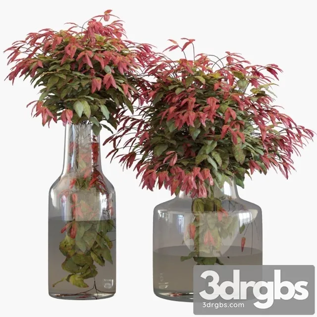 Branches in Vases 1 3D Model Download