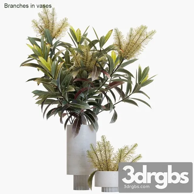 Branches in Vases 12 Free Download