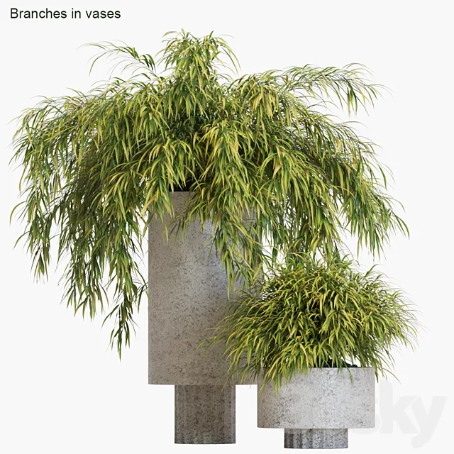 Branches in vases # 14: Hakonechloa 3DModel