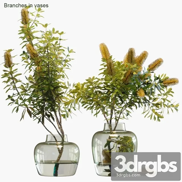 Branches in Vases 28 Banksia 3D Model Free