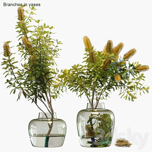 Branches in vases # 28: Banksia 3DModel