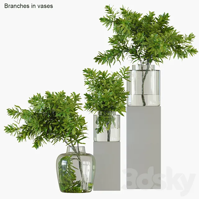 Branches in vases 32: Banksia plagiocarpa 3DModel