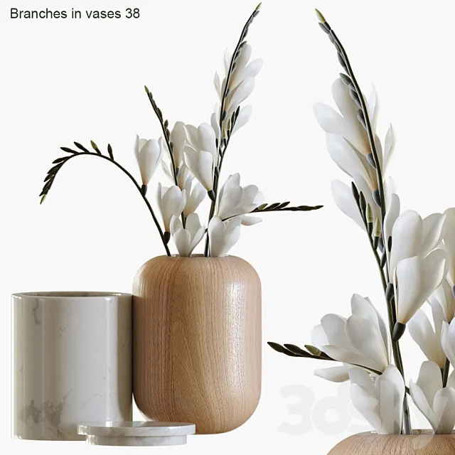 Branches in vases 38 Free Download