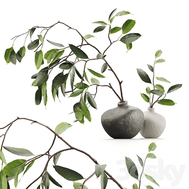 Branches in vases 3D Model