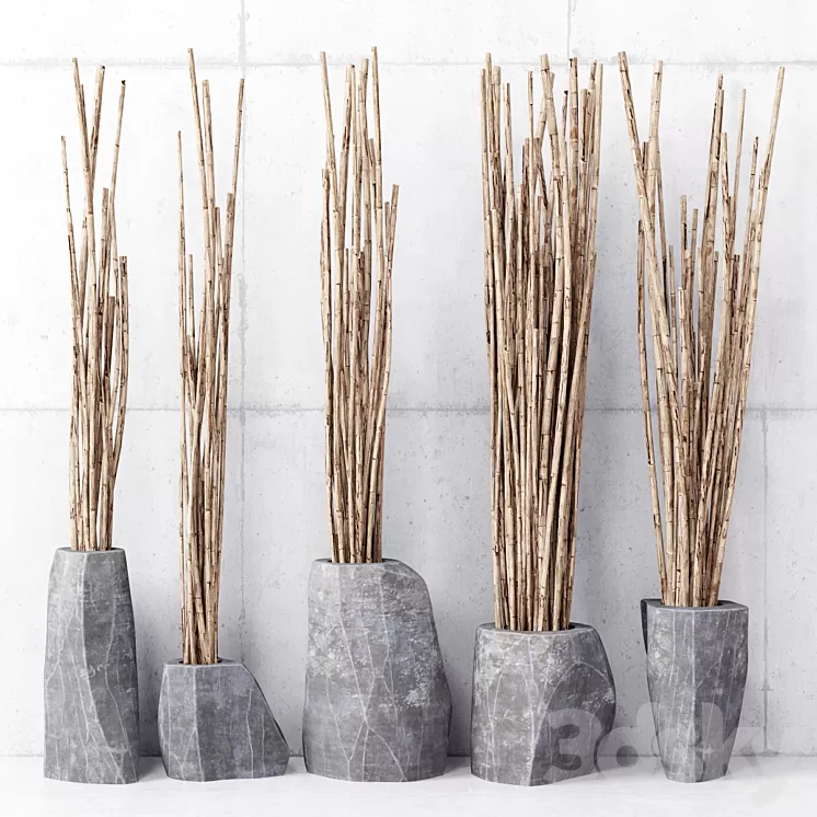 Branches in vases 3D Model