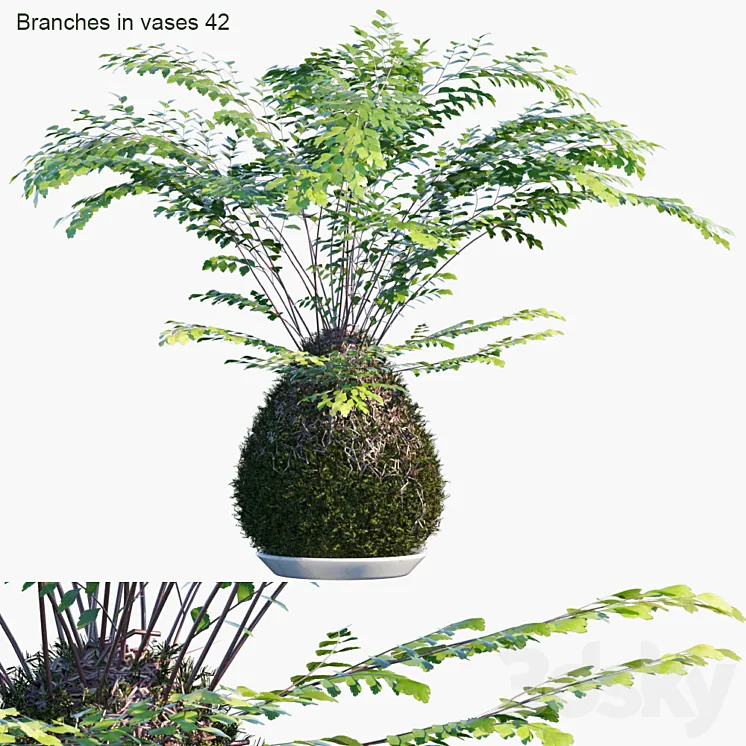 Branches in vases 42: Kokedama 3D Model Free