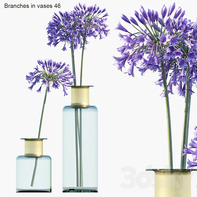 Branches in vases 46: Agapanthus 3D Model