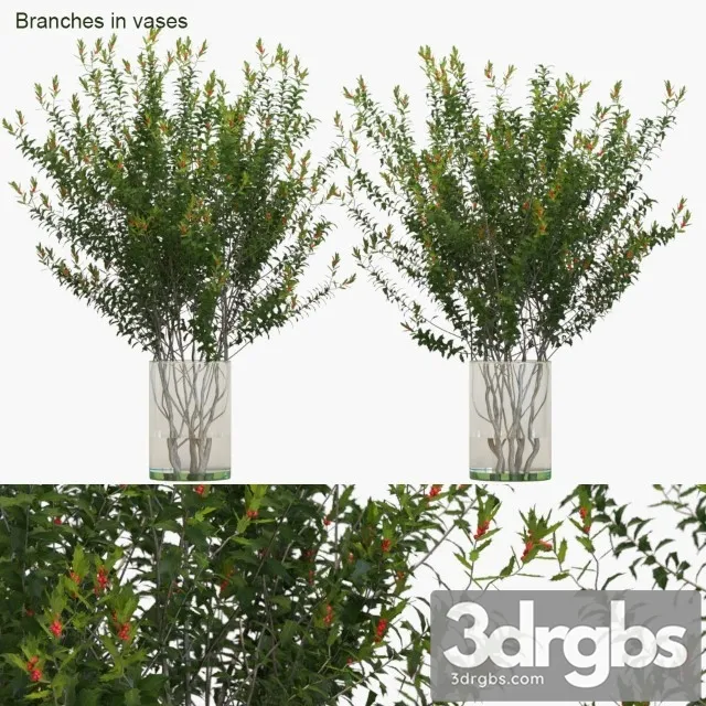 Branches in Vases Dragon Lady 3D Model Free