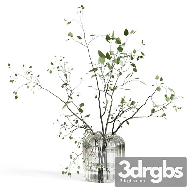 Branches Plant With Galss Vase White Bouquet 22 3D Model Free