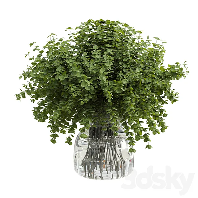 Branches plant with galss vase white - bouquet 36 3D Model