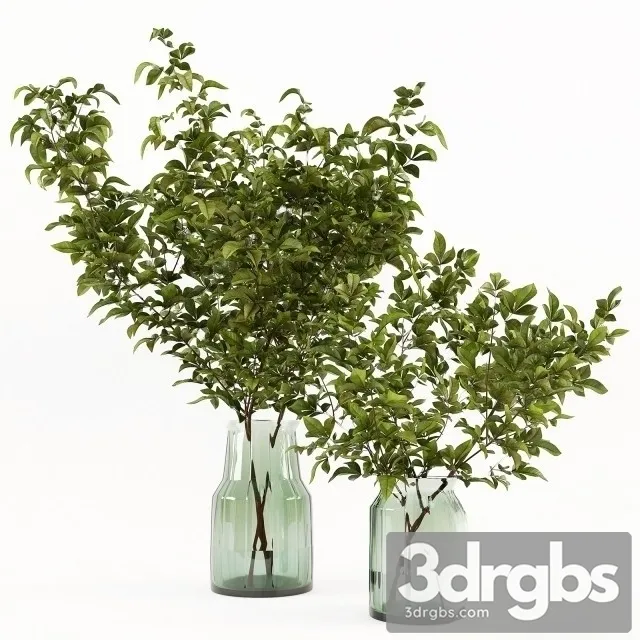 Branches Vase 2 3D Model Free