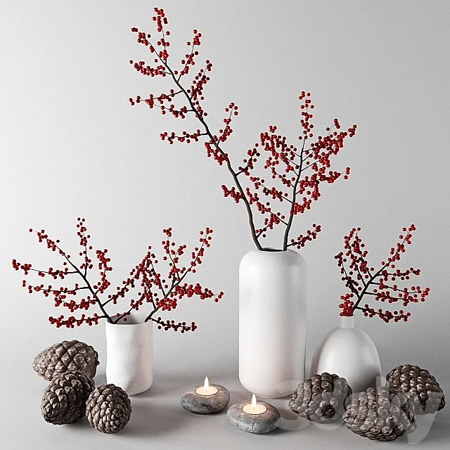 Branches with red berries in white vases 3DModel
