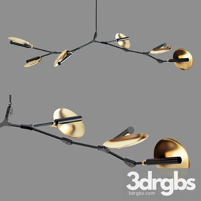 Branching disc 3D Model Download