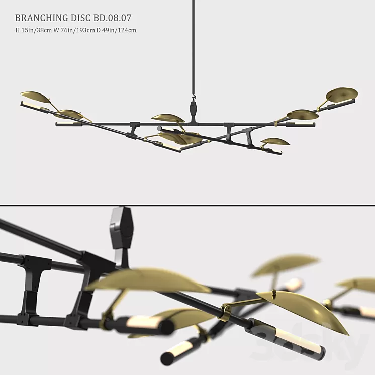 BRANCHING DISC BD.08.07 3D Model
