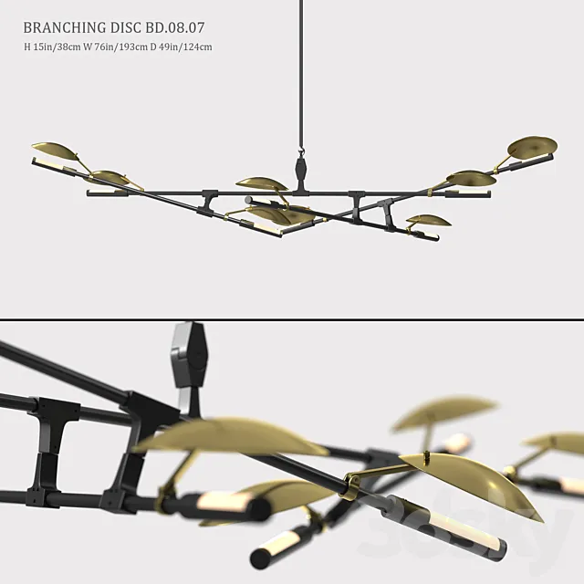 BRANCHING DISC BD.08.07 3DModel
