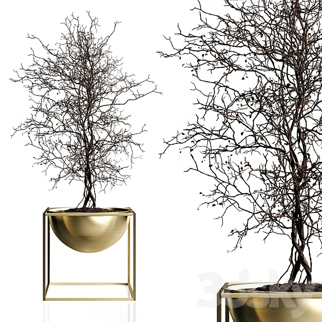 Branching tree Free Download