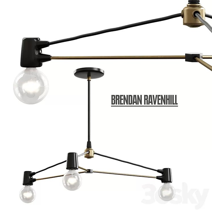 Brendan Ravenhill \/ Cord Pendant 3D Model