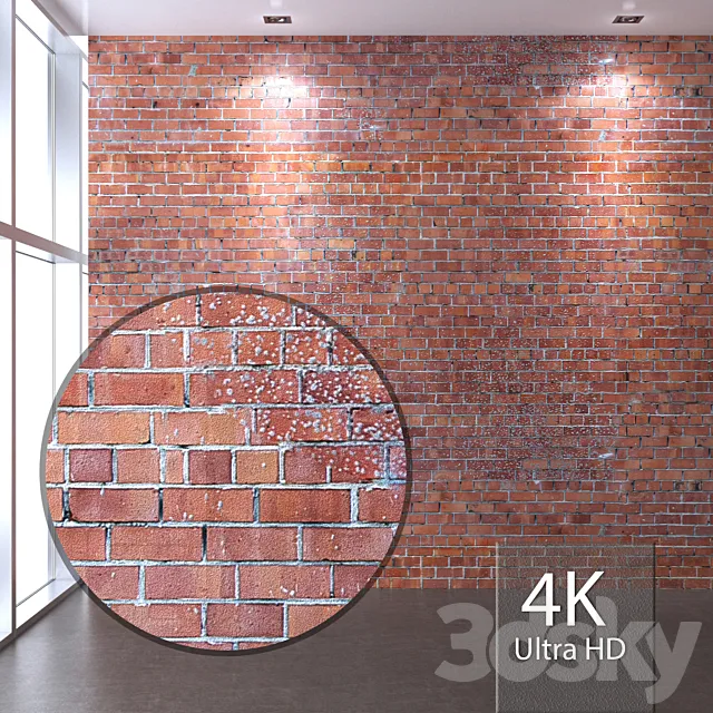 Brickwork 302 3D Model