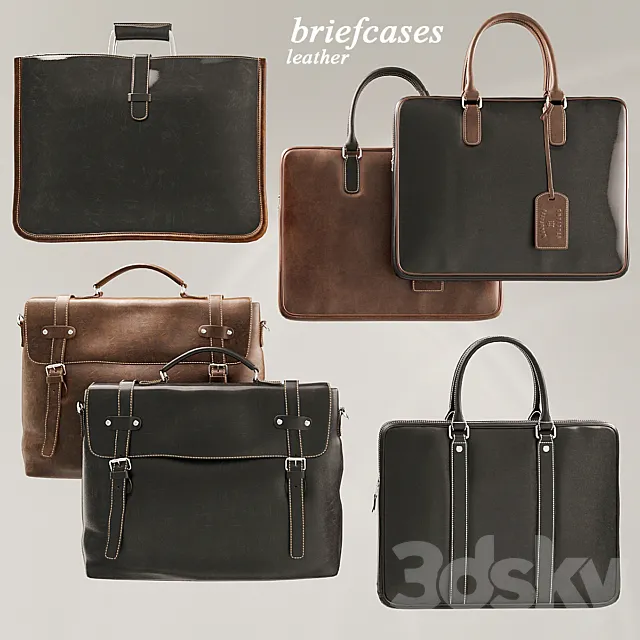 Briefcases Set 3DModel