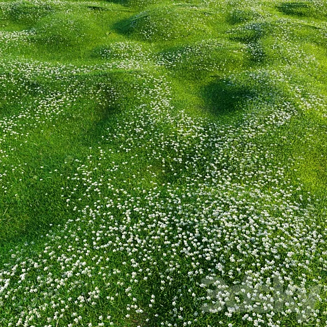 Bryozo lawn 3D Model