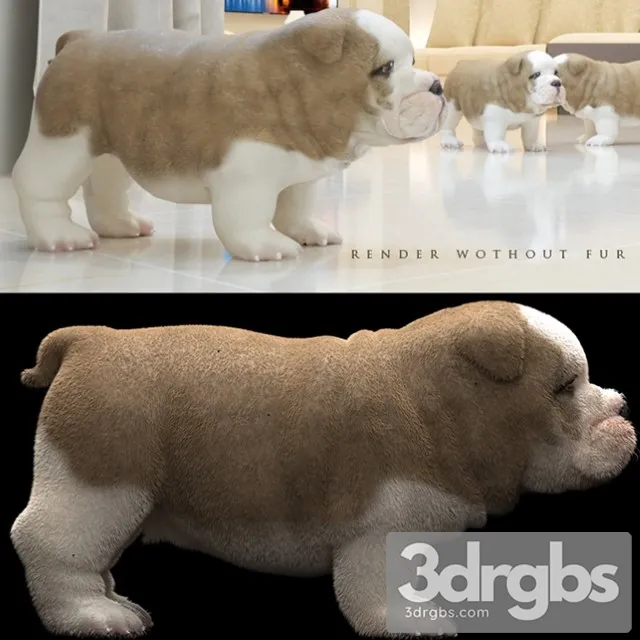 Bull Dog 3D Model Free
