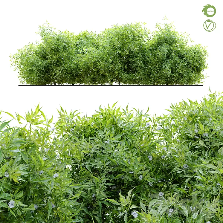 Bush 4 3D Model