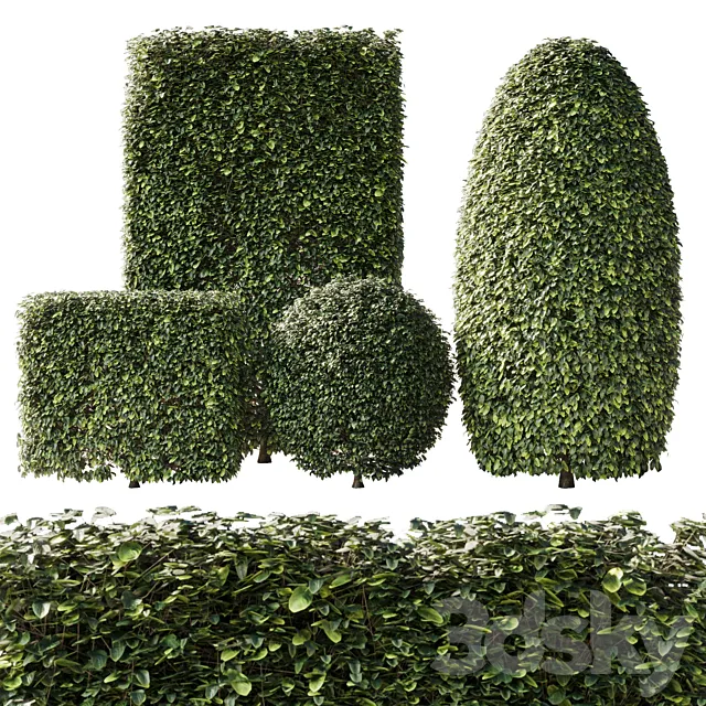 Bush Collection Shrubs cube-oval-circle and rectangle 02 3D Model