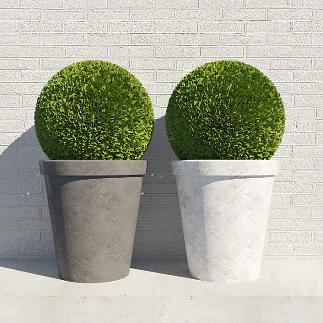 bush in a pot 3D Model