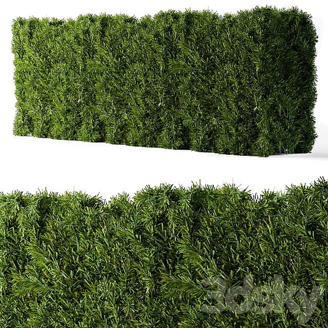 Bush needle wall 3D Model