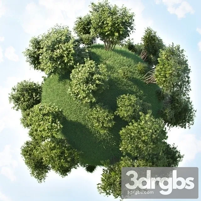 Bush Set 3D Model Free