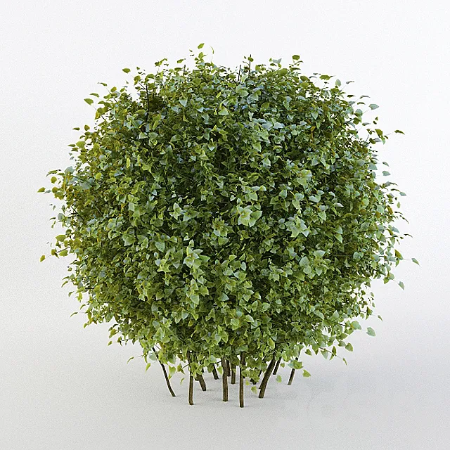 Bush short-haired in the form of a sphere (Pere fill) 3DModel