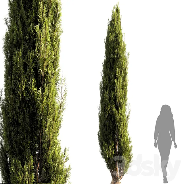 bush tree 010 3D Model
