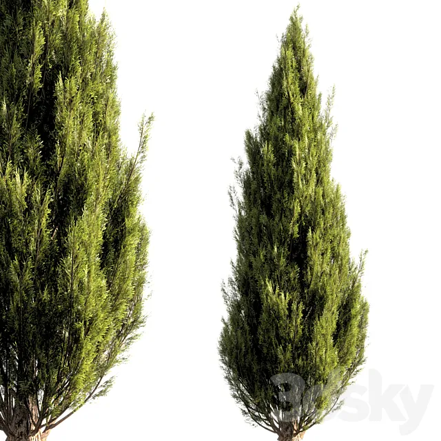 bush tree 016 3D Model